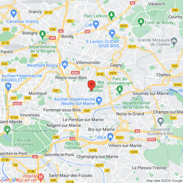 google map