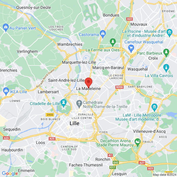 google map