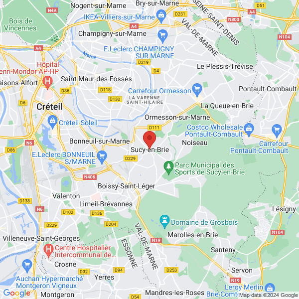 google map