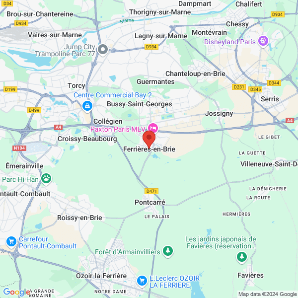 google map