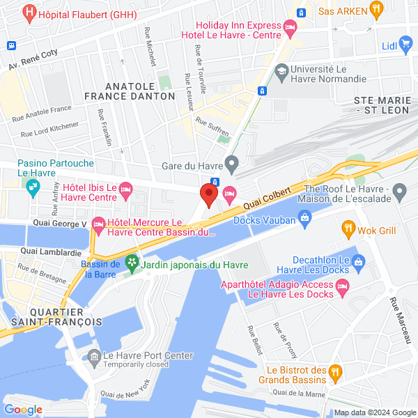 google map