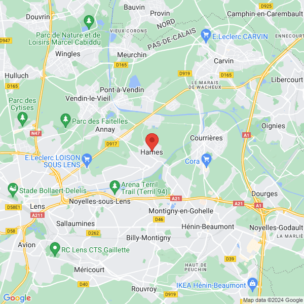 google map