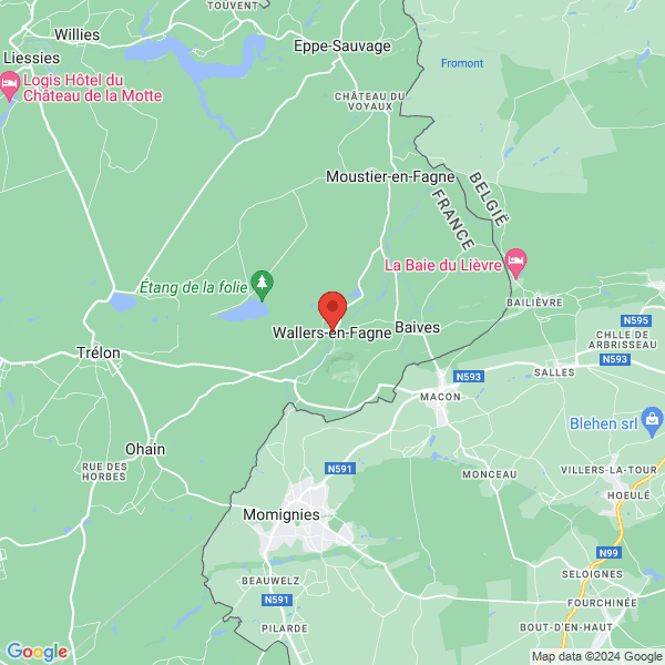 google map