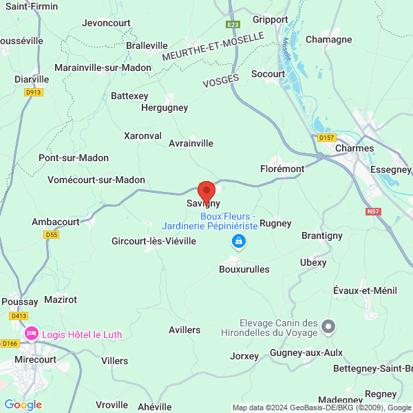 google map