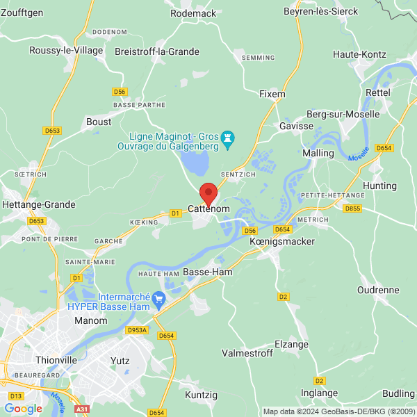 google map