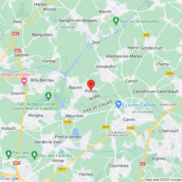 google map