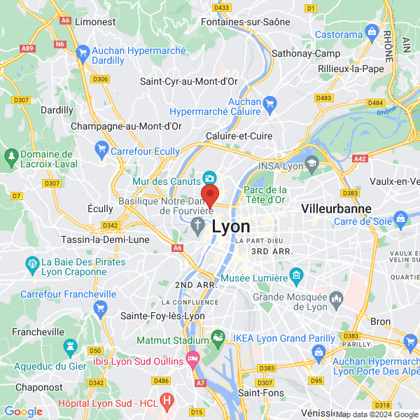 Lyon - Google map