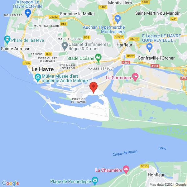 google map