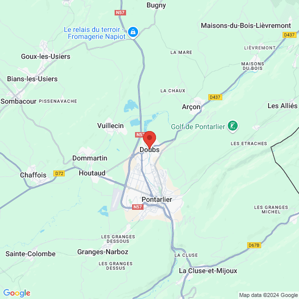 google map