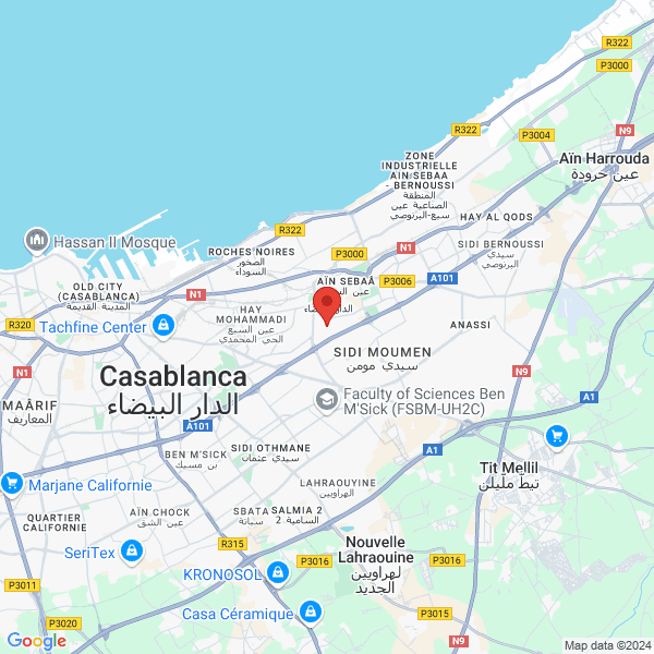 google map