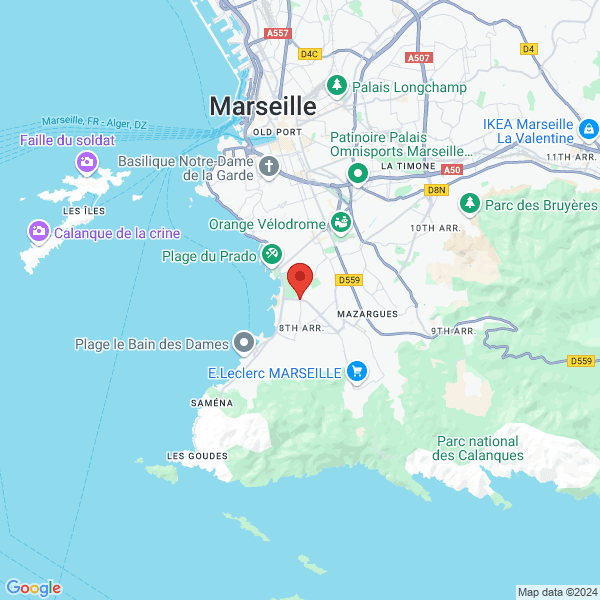 google map