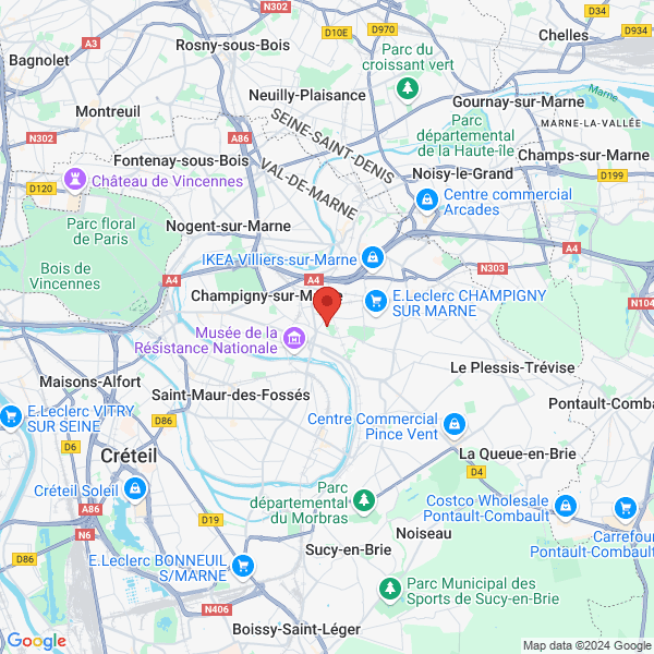google map