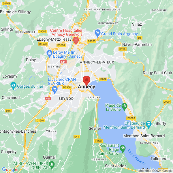 google map