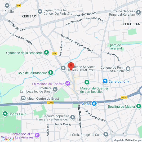 google map