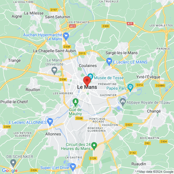 google map