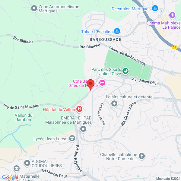 google map
