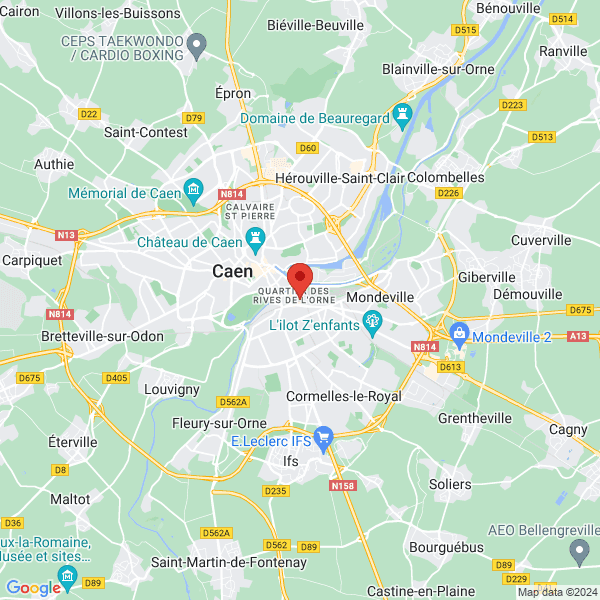 google map