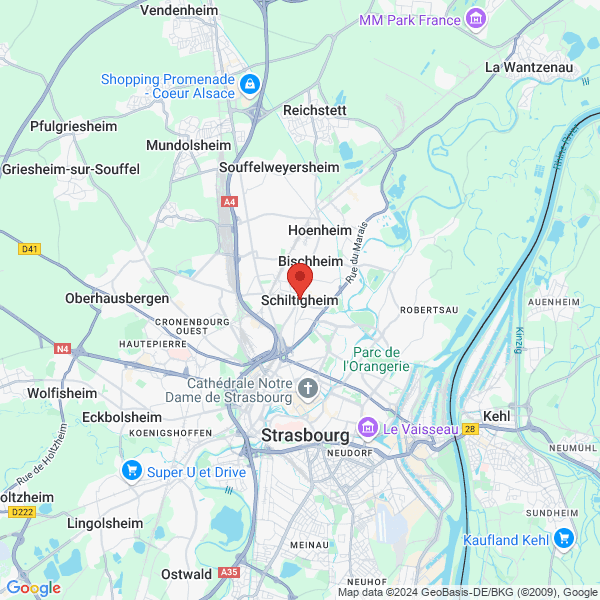 google map