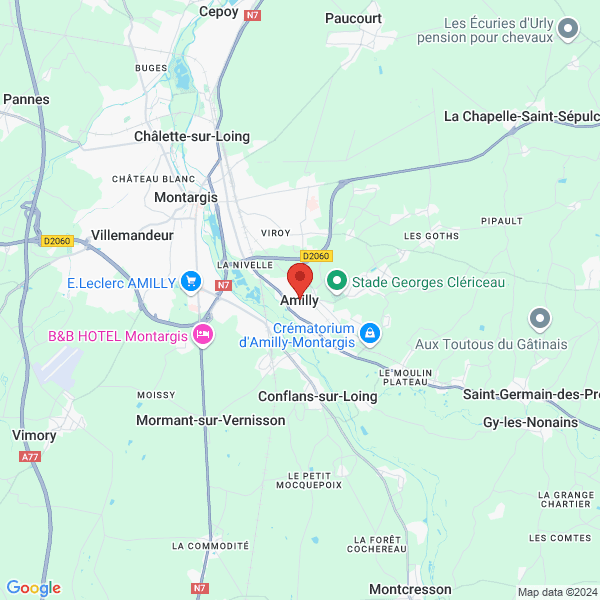 google map