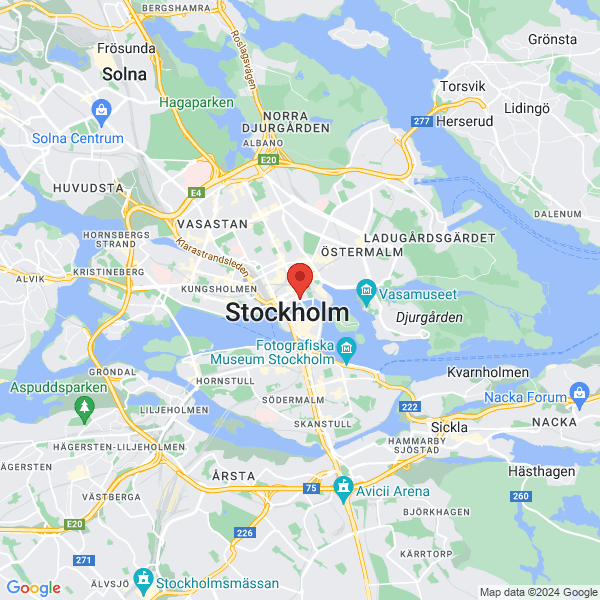 google map