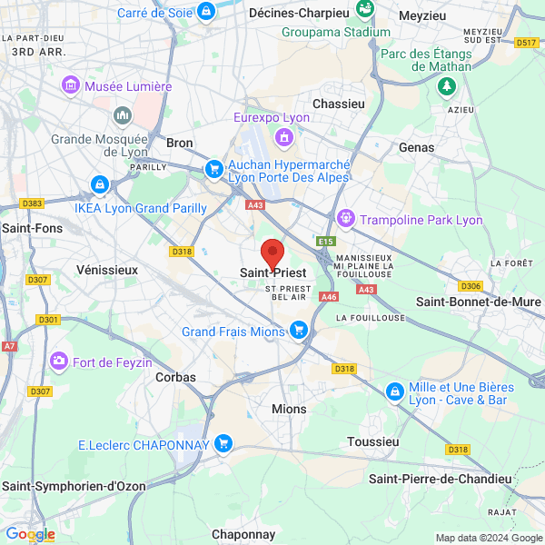 google map