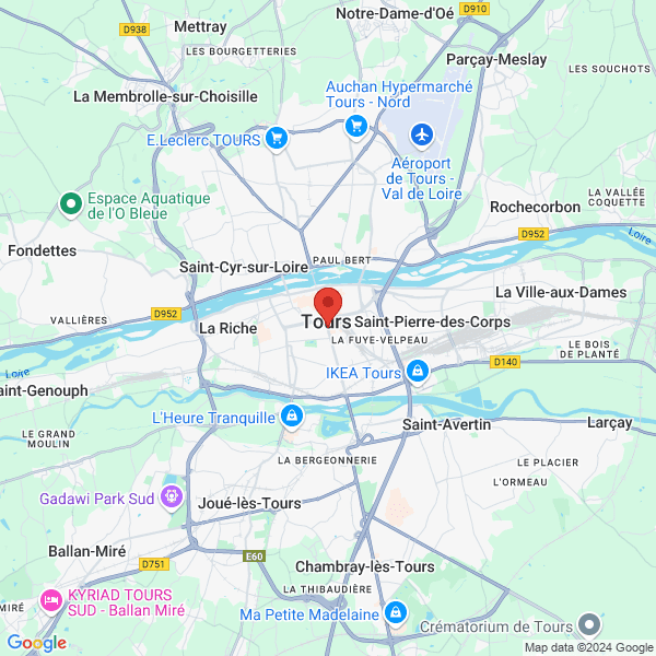 google map