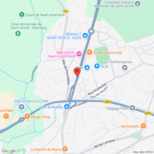 google map