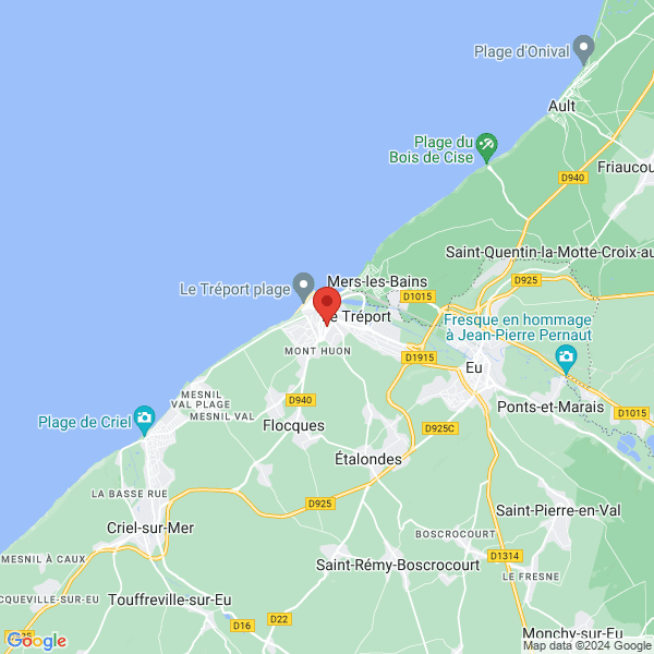 google map