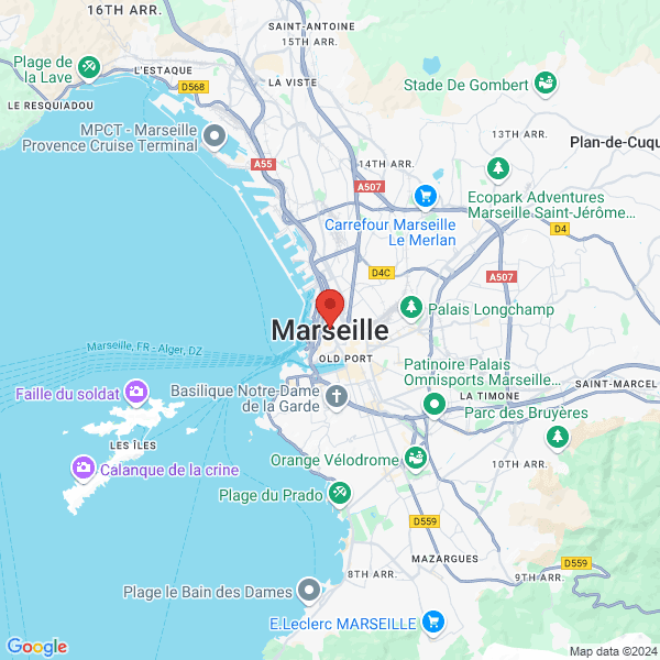 google map