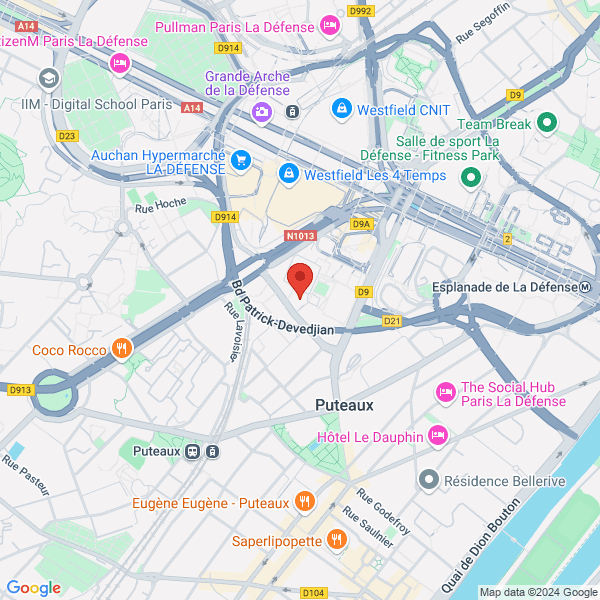 google map