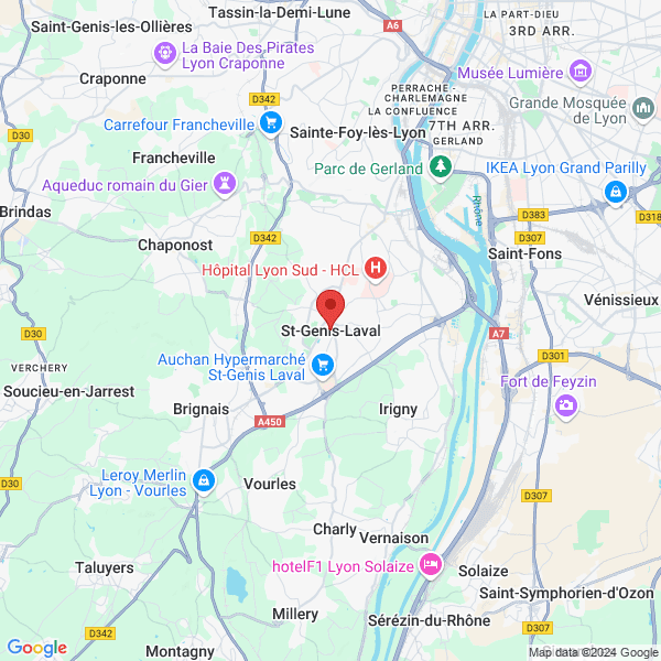 google map