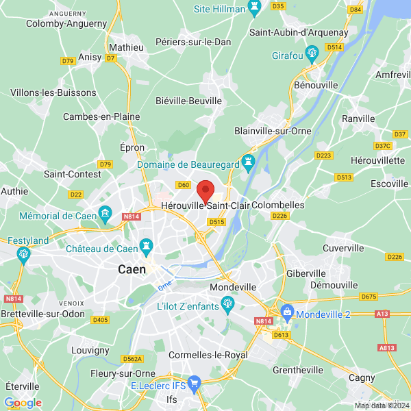 google map