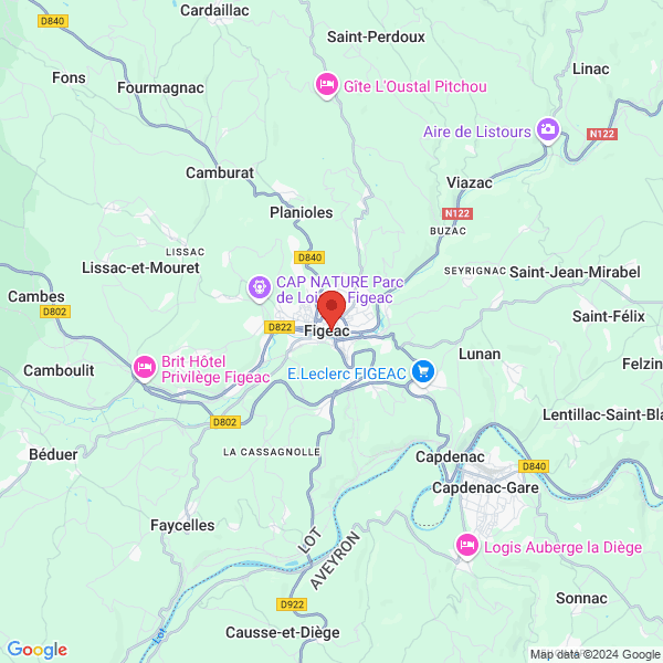 google map