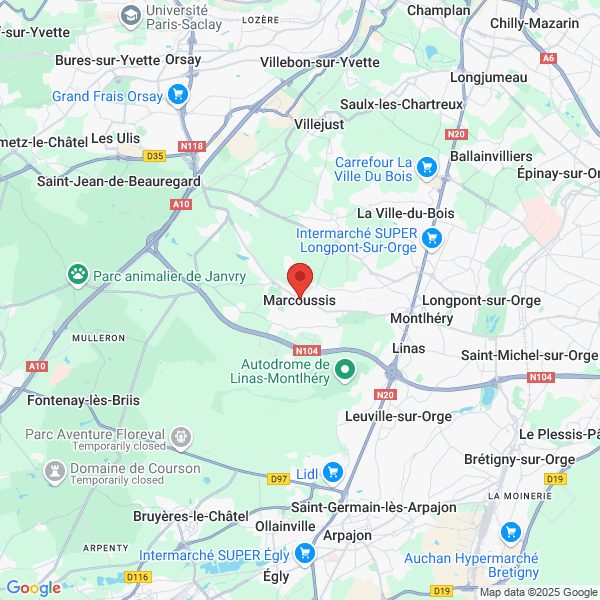 google map