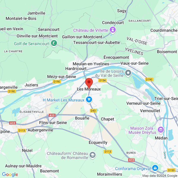 google map