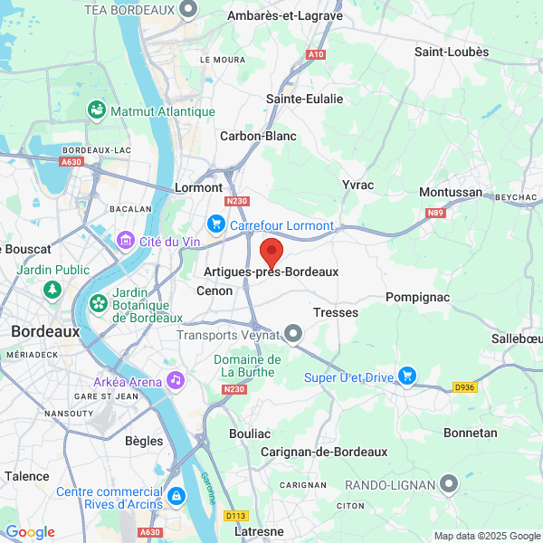 google map
