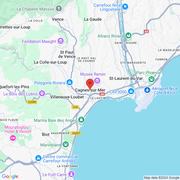 google map