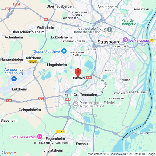 google map