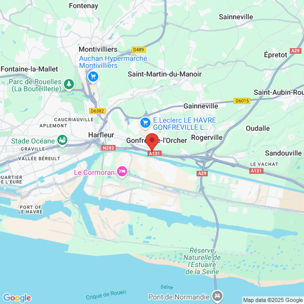 google map