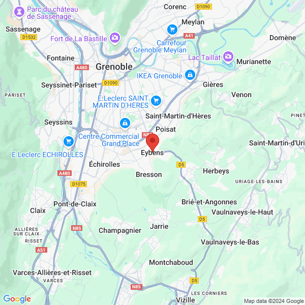 google map