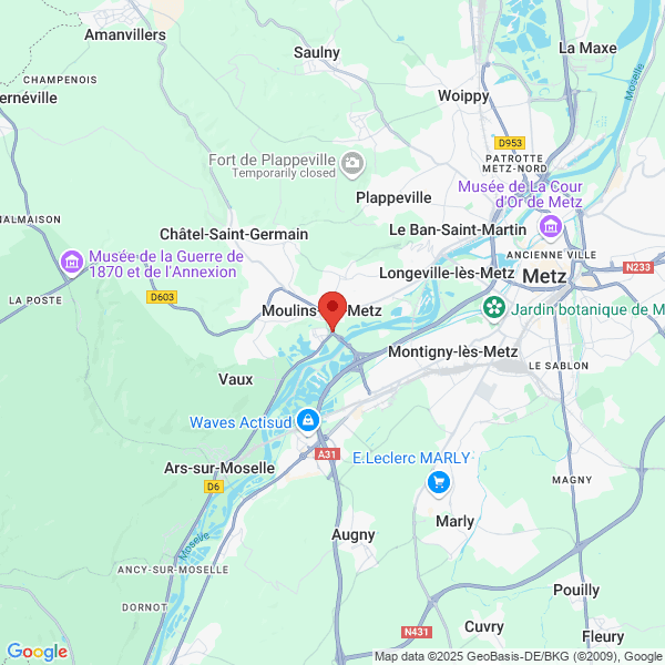 google map