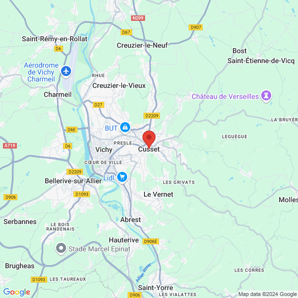 google map