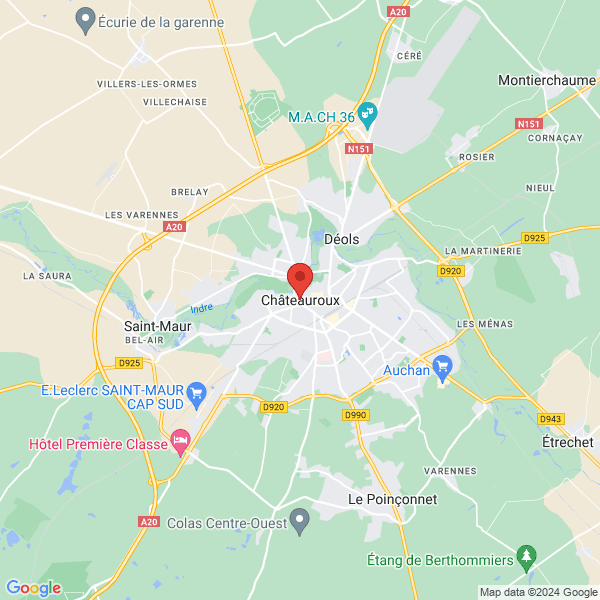 google map