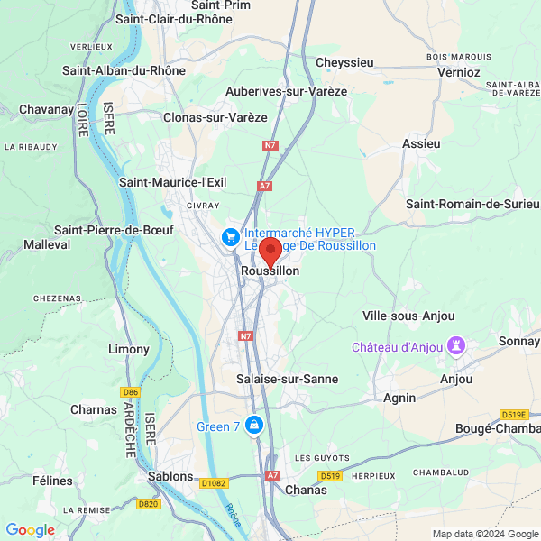 google map