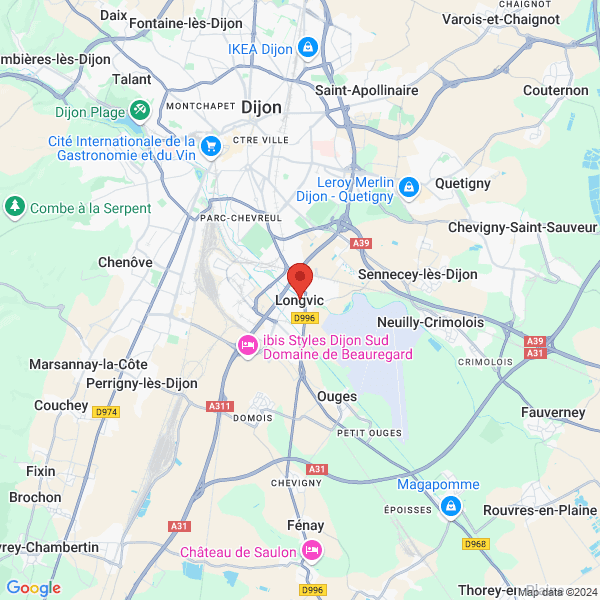 google map