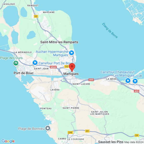 google map