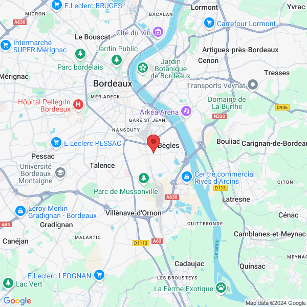 google map