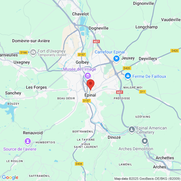 google map
