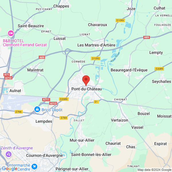 google map