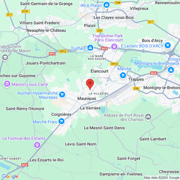 google map